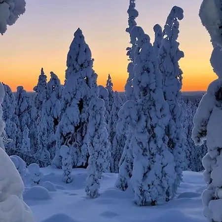 Oitola I Parking I Sauna I Wifi I I Rural I Forest I Ideal For Aurora Spotting *