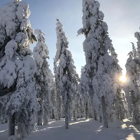 Aurora Lapland Private Arctic Reset At 66'33 - Ideal For Aurora Spotting
