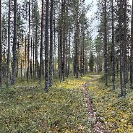 别墅 Oitola I Parking I Sauna I Wifi I I Rural I Forest I Ideal For Aurora Spotting Sonka