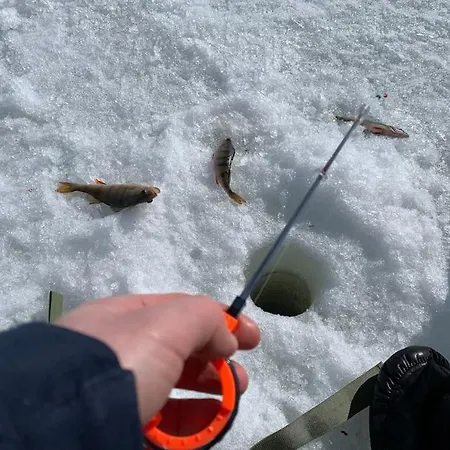 Oitola I Parking I Sauna I Wifi I I Rural I Forest I Ideal For Aurora Spotting Villa