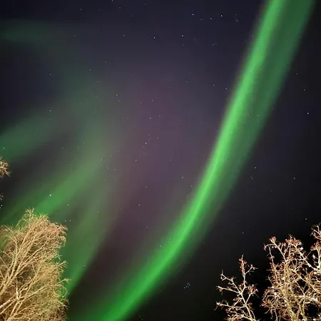 Aurora Lapland Private Arctic Reset At 66'33 - Ideal For Aurora Spotting * Sonka
