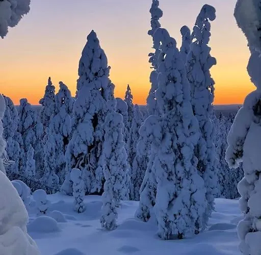 Oitola I Parking I Sauna I Wifi I I Rural I Forest I Ideal For Aurora Spotting *