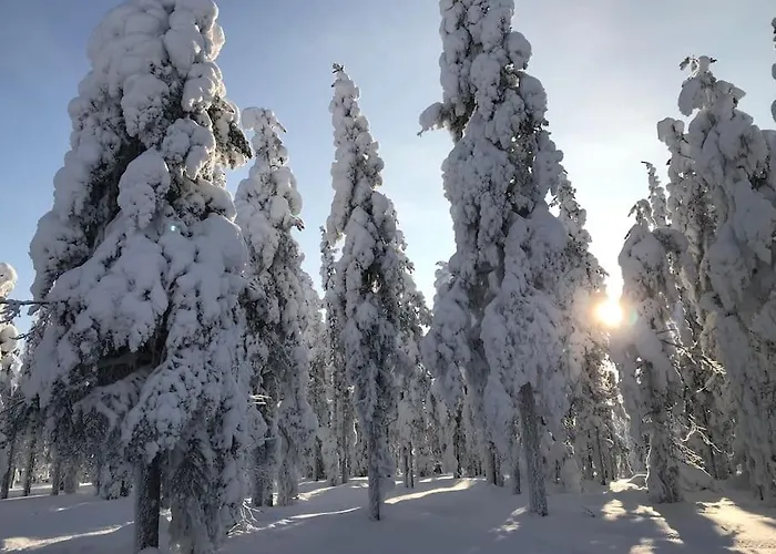 Oitola I Parking I Sauna I Wifi I I Rural I Forest I Ideal For Aurora Spotting