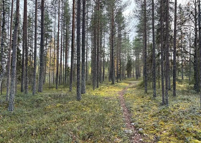 Villa Oitola I Parking I Sauna I Wifi I I Rural I Forest I Ideal For Aurora Spotting Sonka