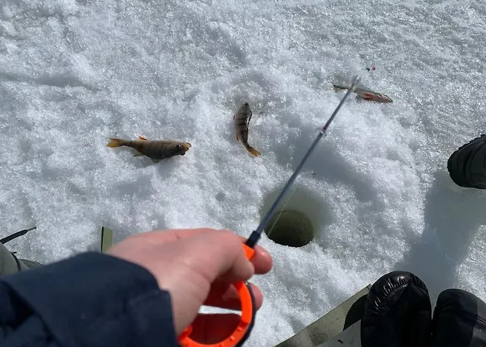 Oitola I Parking I Sauna I Wifi I I Rural I Forest I Ideal For Aurora Spotting Villa