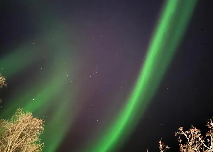 Oitola I Parking I Sauna I Wifi I I Rural I Forest I Ideal For Aurora Spotting * Sonka