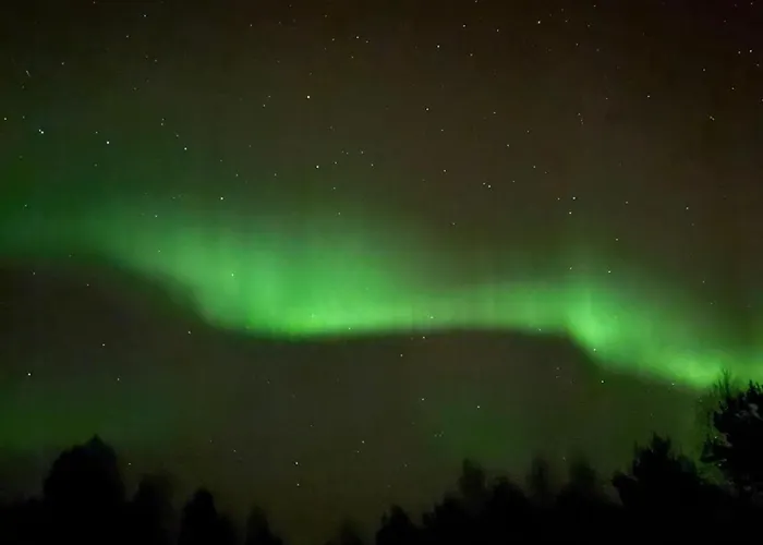 Oitola I Parking I Sauna I Wifi I I Rural I Forest I Ideal For Aurora Spotting