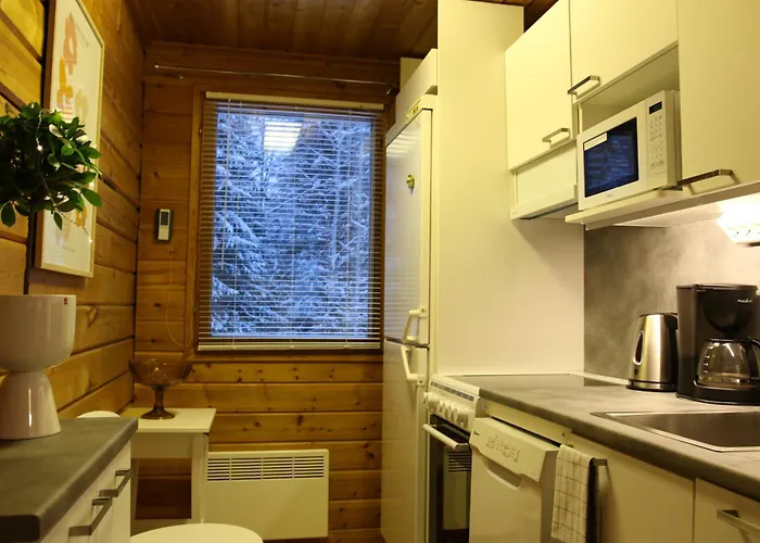 Oitola I Parking I Sauna I Wifi I I Rural I Forest I Ideal For Aurora Spotting Villa *